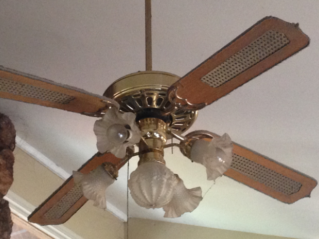 The living room ceiling fan. So. Much. Dust. It’s like a bunny farm.